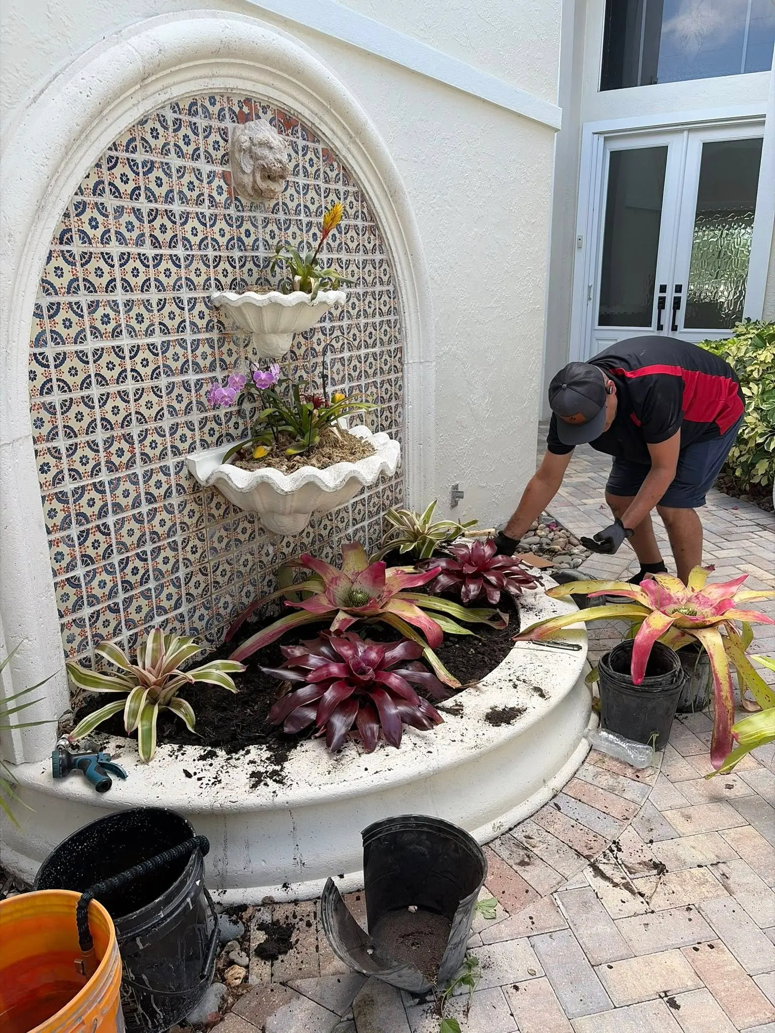 Bromeliad landscaping installation