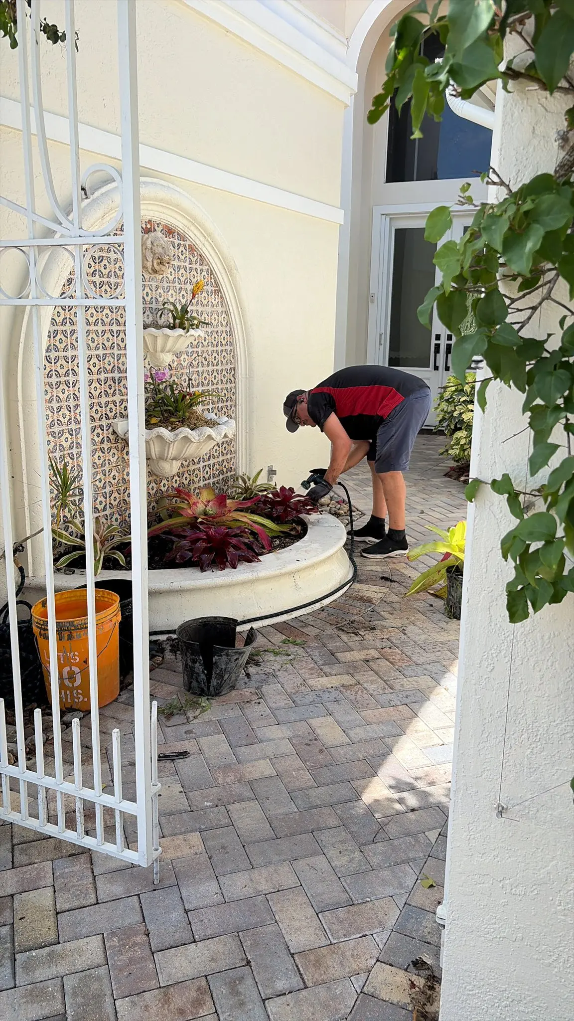 Plant and ornamental pest control as part of routine maintenance