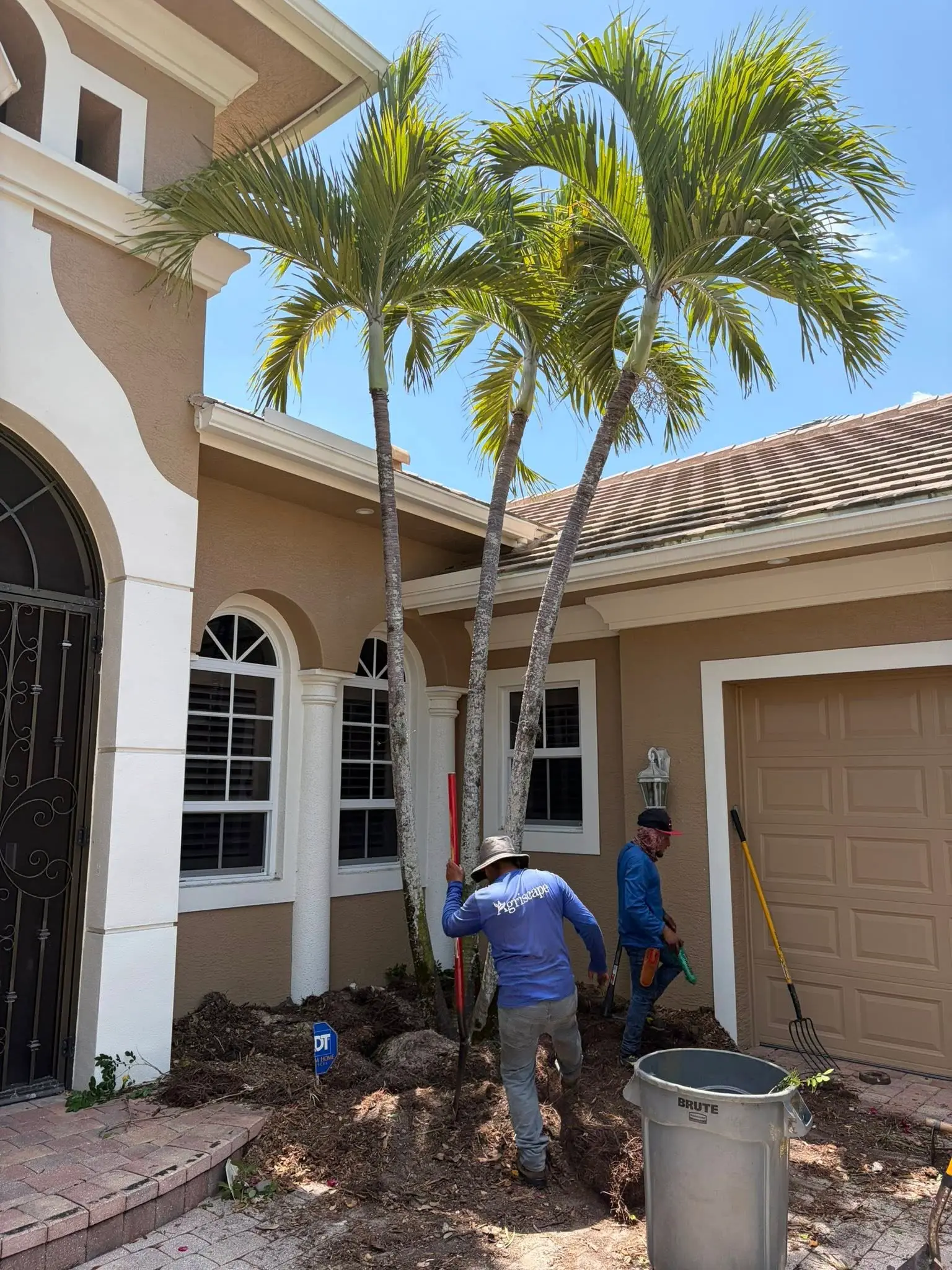 Routine landscaping maintenance service