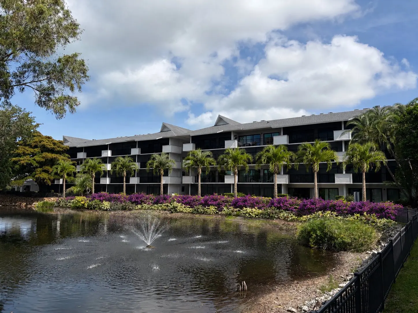 Tropical resort landscaping with mature palms