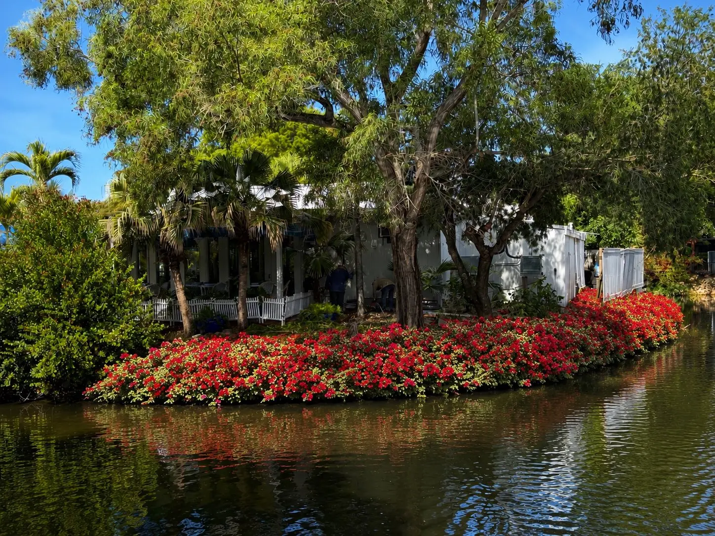 Waterfront estate with lush landscaping and mature trees maintained by SiteScapes Landcare